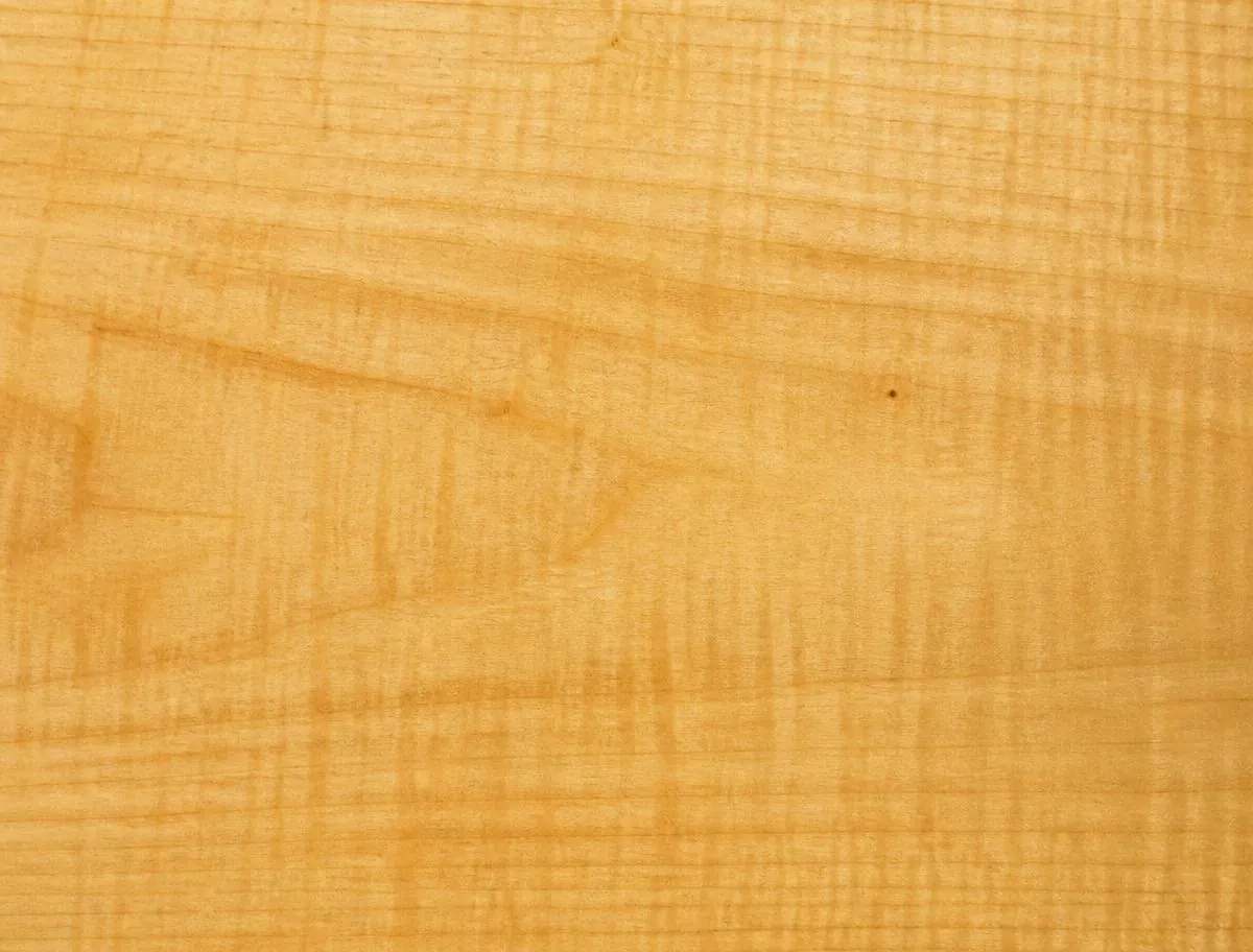 Maple wood grain sample